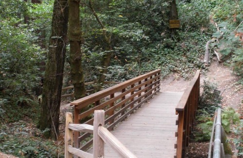Mount Hermon Cabin | Santa Cruz Mountain Cabin. Utmost Tranquility Amongst the Redwoods!