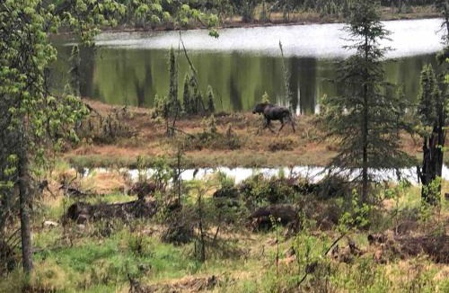 Kalifornsky Apartment | Scout Lake Adventures - LAKE FRONT fishing avail