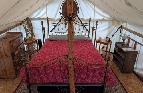 College Cabin | Sleep in the trees! A treehouse escape just 5 minutes from airport and downtown!