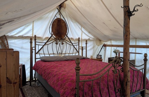 College Cabin | Sleep in the trees! A treehouse escape just 5 minutes from airport and downtown!
