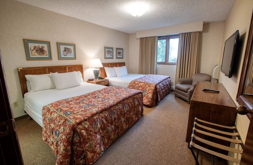 College Hotel | Sophie Station Suites