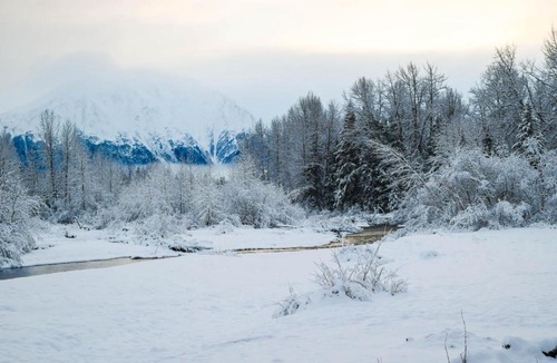 Alyeska Hotel | St. Moritz- Apartment