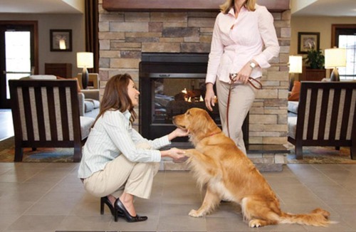 College Station Hotel | Staybridge Suites College Station by IHG