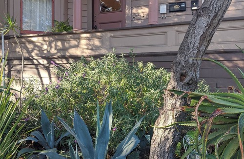 South Berkeley Apartment | Sunny 1BR in Gorgeous Berkeley Victorian