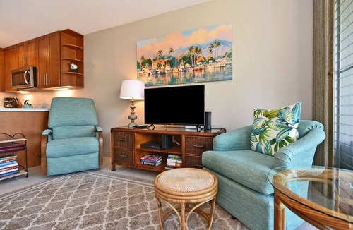 Napili Condo | Swim with the turtles! Oceanfront condo #102