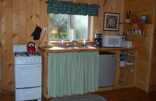 Lutak Cabin | The Gathering Place Cabin #1, rustic cabin on the water, close to Chilkoot River