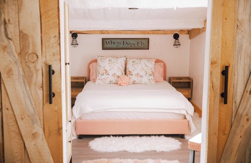 Nephi Other | The Pink Hayloft