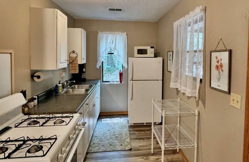 Old Washington Cottage | Timberline Cabins - Wildwood Cottage - Hot tub, Pets, WiFi