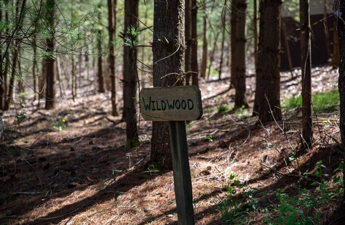 Old Washington Cottage | Timberline Cabins - Wildwood Cottage - Hot tub, Pets, WiFi