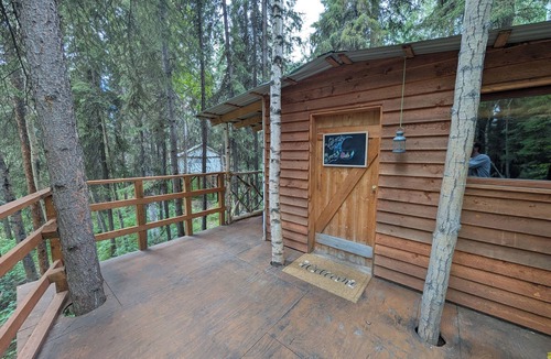 College Cabin | Time for adventure. Sleep in a treehouse. 5 minutes from the airport & downtown!