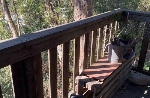 Piedmont Pines Apartment | Tranquil Modern 1 bedroom in-law unit in the Oakland Trees