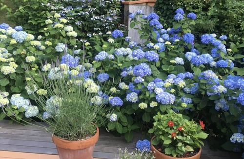 Block Island House | Westside Story.an enchanting island sanctuary…discounted early Sept. ‘26 wks!