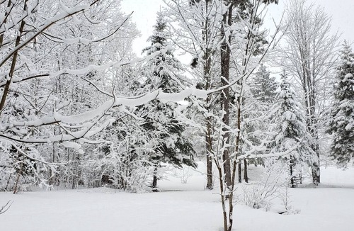 Bethlehem Cottage | White Mountain Retreat - Family/Pet Friendly- Year Round : Ski areas Close by!