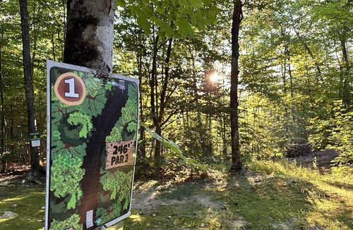 Stoneham Cabin | White Mountains A-Frame | Off-Grid, Stars, Firepit