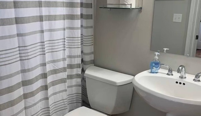 2639 Observatory Avenue, Unit 1 · Hyde Park Hideaway Close to Square & Downtown!