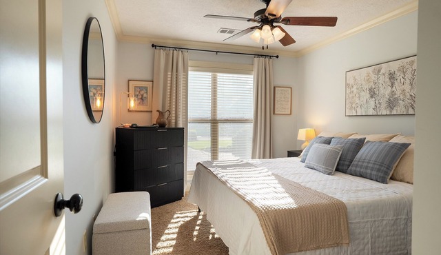 3BR 2BA Cozy Home Fenced in Backyard Quiet Neighborhood Pets Welcome