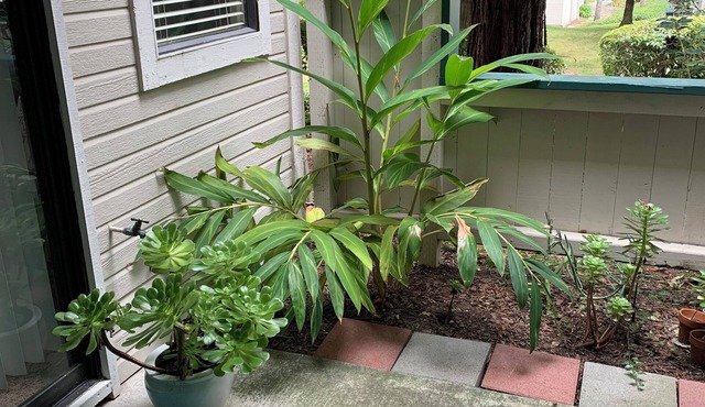 Adorable condo with WiFi in charming neighborhood