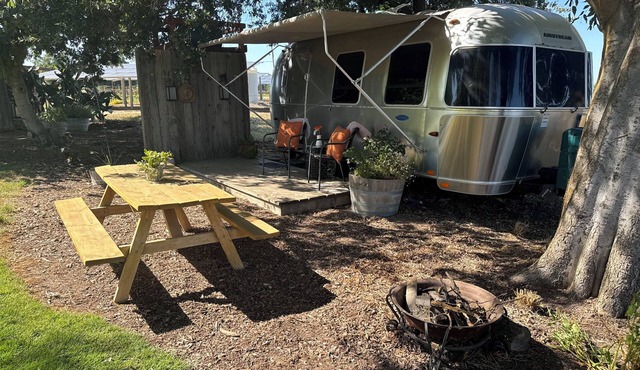 Airstream Experience at Vineyard on Grand Island
