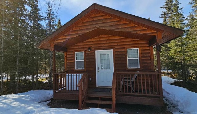 Alaska Summers Lodge Cabin 2-Near Mouth of Kasilof River