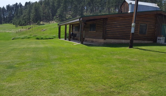 Authentic Black Hills Creekside Cabin in Nemo
