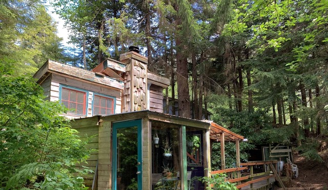 Authentically Alaskan Ocean View Dry Cabin