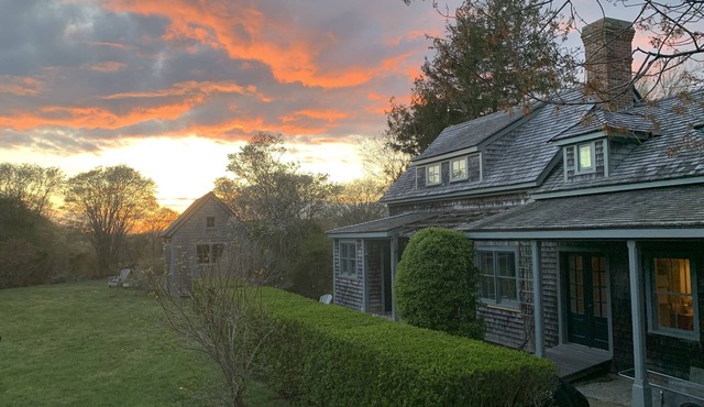 Back to nature, an Island artist’s cottage…June weeks still available!