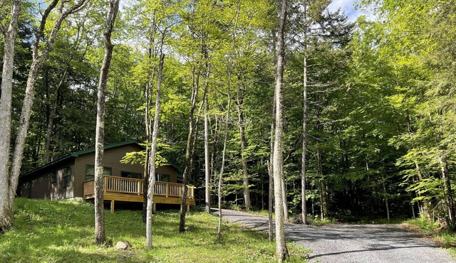 Bear Path Cabin - Lake Access - Big Moose Lake, Adirondacks in Eagle Bay