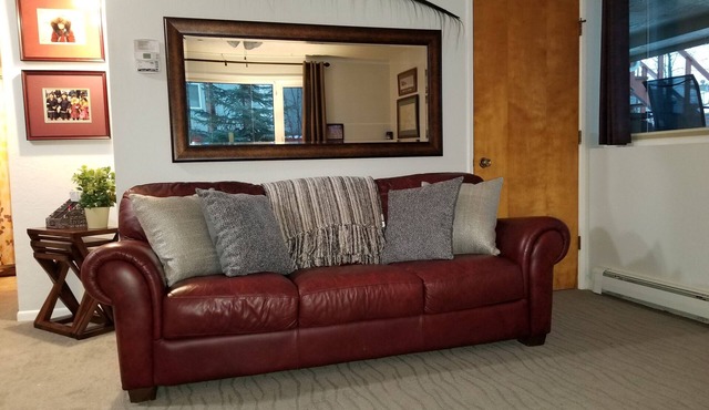 Beautiful one bedroom Apt, Fully Furnished With Private Entrance.Ground floor .