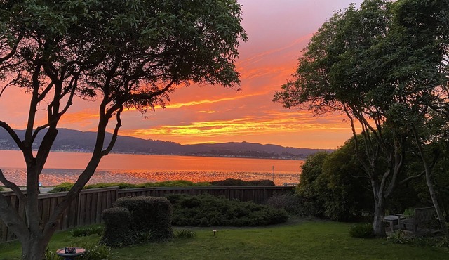 Bella Vista : Peaceful, Relaxing, and Comfortable, 30 - 60 day stays only