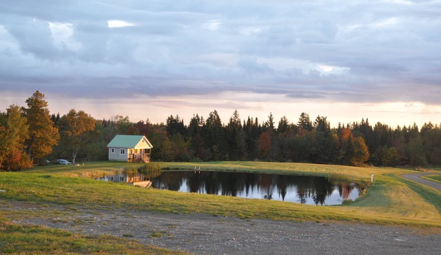 Black Bear Pond Cabins