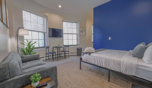 Bold Studio Steps from Back Bay in Boston
