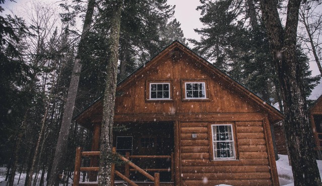 Cabin, Queen Bed, 2 Bunks, Private Bath