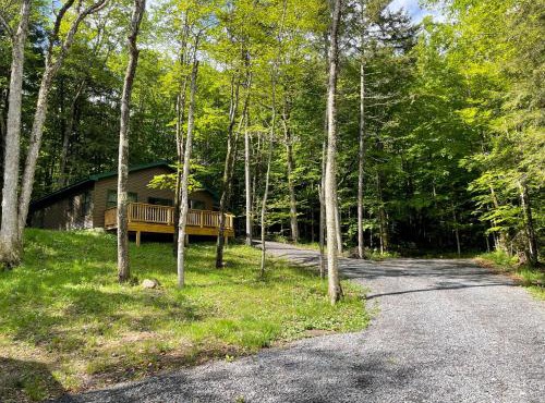 Camp Bear Path in Eagle Bay