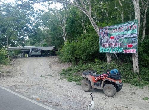 Campamento Yaax Che en Calakmul in Calakmul