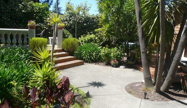 Charming, peaceful 1 Bedroom Mill Valley Cottage