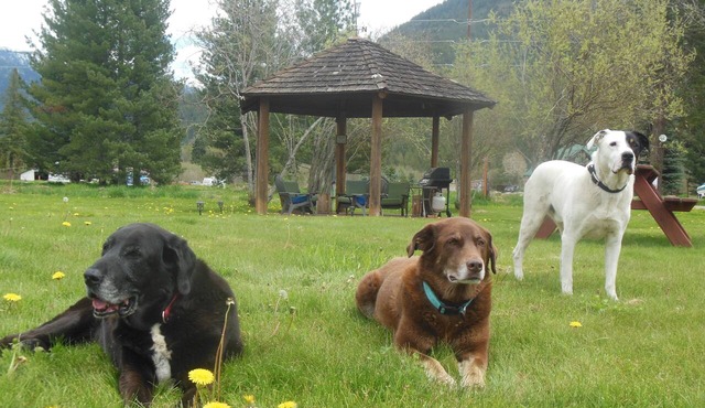 Clark Fork Lodge in Clark Fork