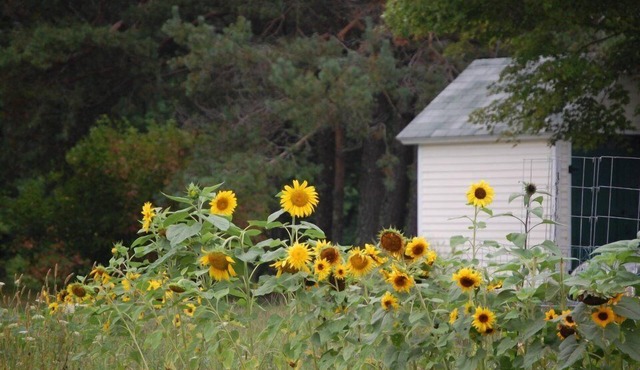 Clary Lake Bed and Breakfast