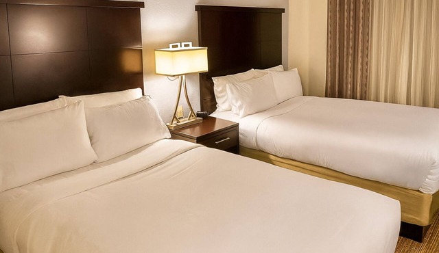 Convenient Stay, Superb Location, Kitchen, Pet-Friendly Property