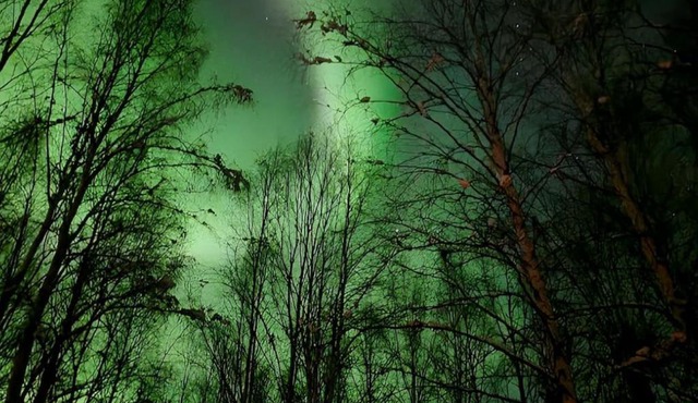 Corporate Cabin Aurora Escape in Fairbanks