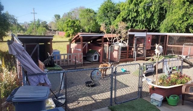 Country 2-bedroom bed & breakfast/ebikes in delightful Livermore Wine Country