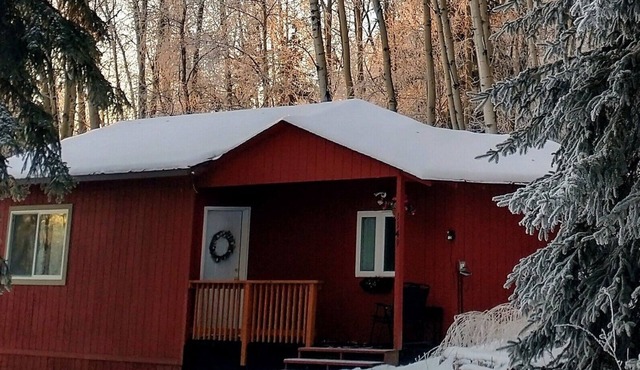 Cozy Alaskan Cabin, with rare Northern Lights views.