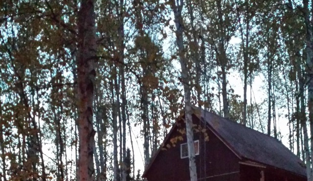Cozy Alaskan Cottage