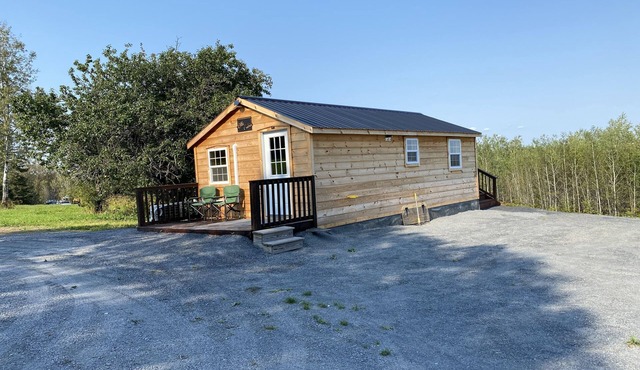 Cozy Little Cabin sleeps 4