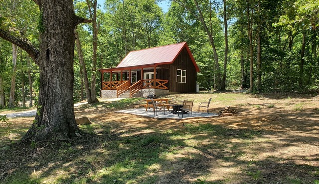 Cozy Rustic Cabin With All The Extras.