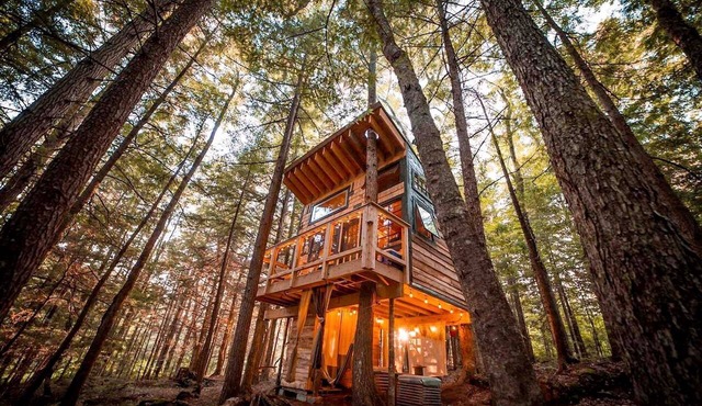 Cozy Treehouse with Sauna in Hardwick, VT