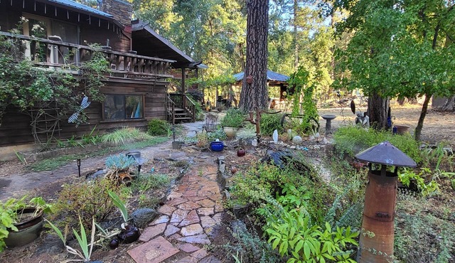 craftsman style home on goldrush townsite of Sandy Gulch.