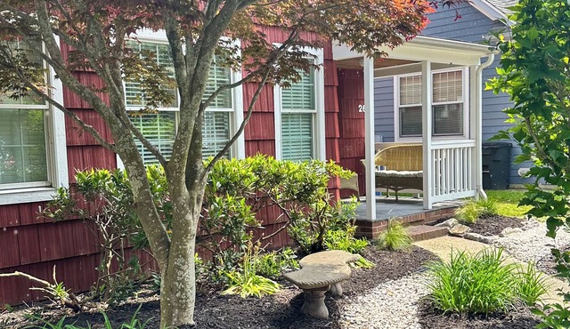 Downtown 6-bedrooms Pet friendly house&cottage, rooftop deck Offseasondiscounts