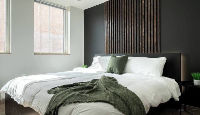 Downtown Luxury Apartment