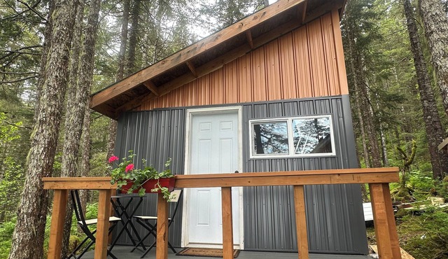 Ellsworth Glacier View Cabin #1 Remote Ocean Front Cabin