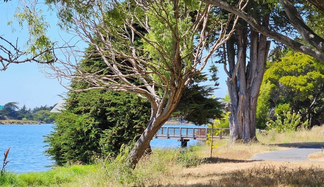 Enjoyable 1-bedroom in Emeryville, Marina views.